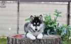 DSC_0978_kopie