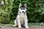 DSC_0441_kopie