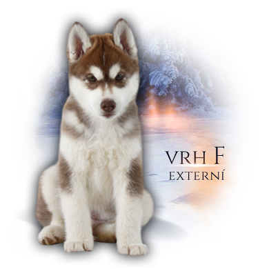 vrh F