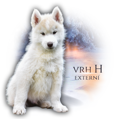 vrh H